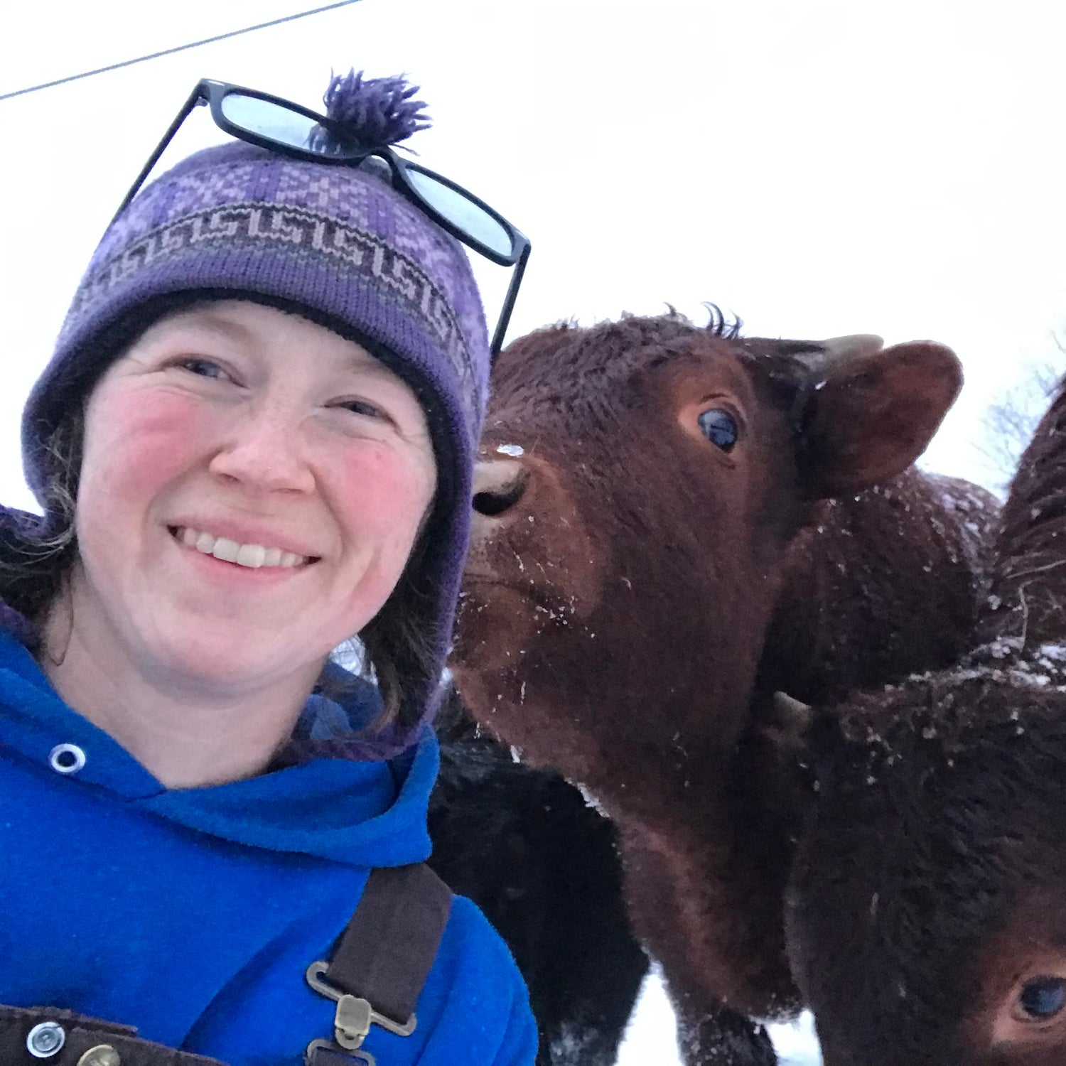 the owner of fat chance farm being sniffed by a cow