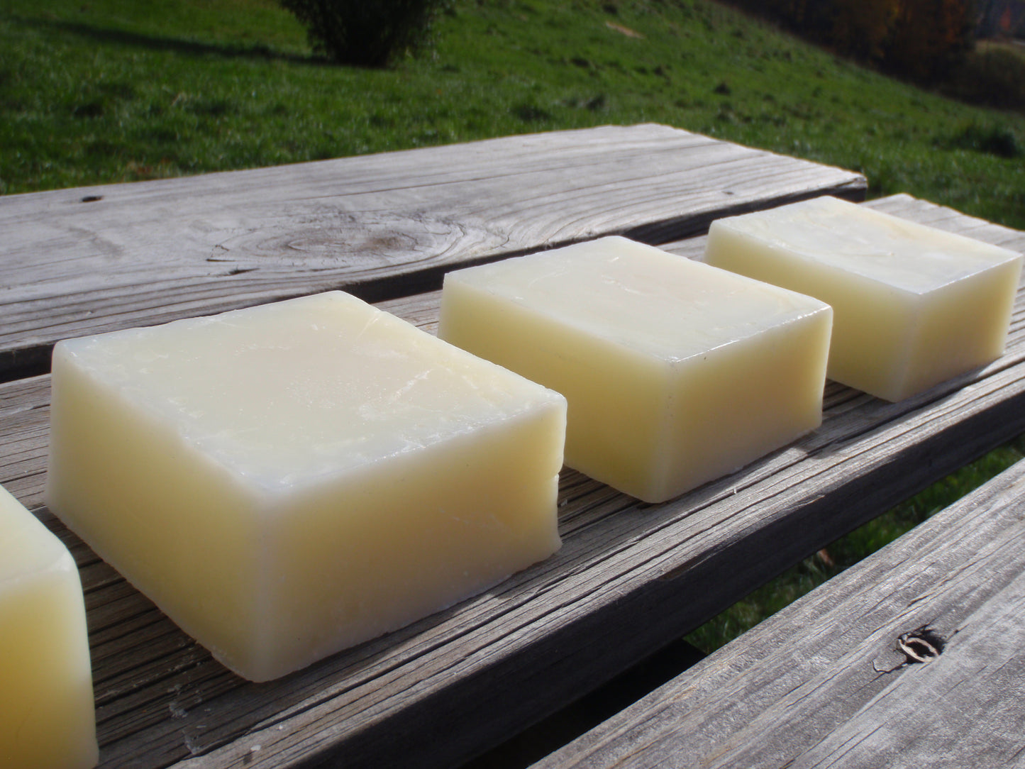 three bars of tallow and lard soap