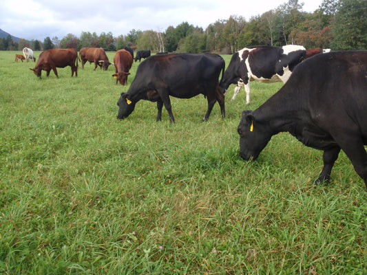 Build Your Own Soap - 6 Bars