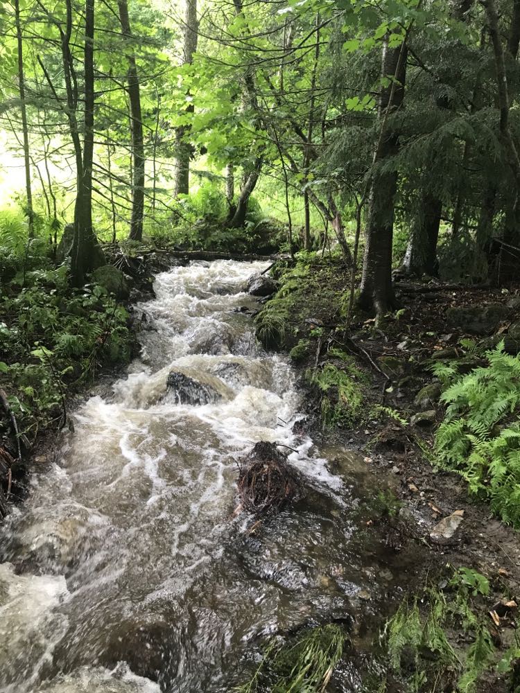 How we Fared in the Flood