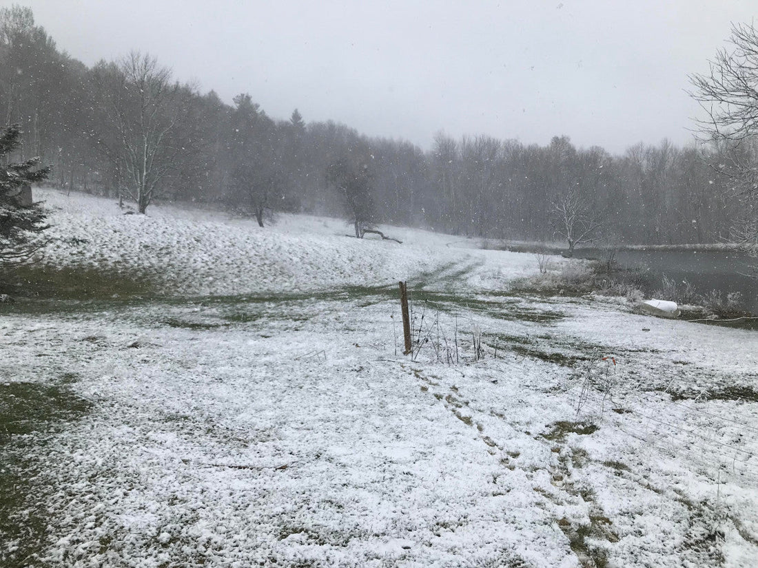 Spring in Vermont